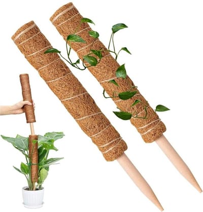 WiseGoods Luxe Mosstok 30cm - Plantenstok - Klimplant Tool - Klimplantensteun - Klimplantgeleider - Plantensteun - Planten Stok