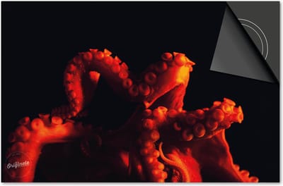 Inductie beschermer 60x60 - afdekplaat inductie mat - Dietrix Kookplaat beschermer - Exclusief - Under the Sea - Octopus Rood
