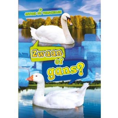 Zwaan Of Gans? - Ontdek De Verschillen - Kirsten Chang