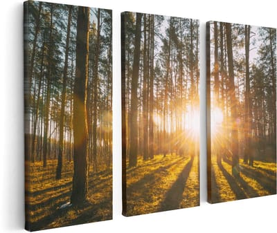 Artaza Canvas Schilderij Drieluik Zonsopkomst In Het Bos Tussen De Bomen - 120x80 cm - Wanddecoratie Woonkamer - Schilderijen - Muurdecoratie