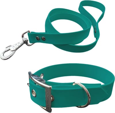 Halsband en lijn voor honden van BioThane - Groenblauw, Gemiddelde Breedte