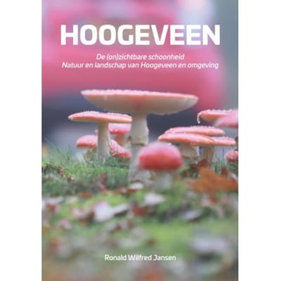 Hoogeveen. De (On)Zichtbare Schoonheid. Natuur En Landschap Van Hoogeveen En Omgeving - Ronald Wilfred Jansen