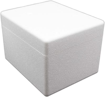 Thermobox 3,6 liter voor veilig vervoer van reptielen en insecten - 26 x 21 x 18 cm