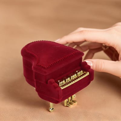 Compacte Sieradenopbergdoos in Piano Vorm, Reis Etui voor Oorbellen, Ringen en Kettingen, Perfect voor Moeders met Eenvoudig Design en Ruimtebesparend Ontwerp