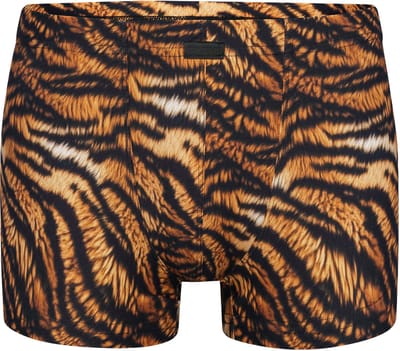 Manstore Boxer M2577 Micro Pants