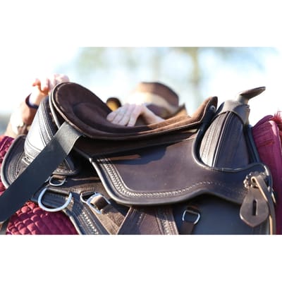 Hoes voor bestuurdersstoel Edix Saddles Hip Saver