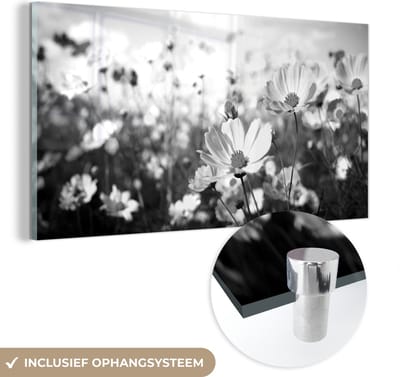 MuchoWow® Glasschilderij 120x60 cm - Schilderij acrylglas - Bloemen - Wei - Paars - Gras - Wit - Wolken - Blauw - Foto op glas - Schilderijen