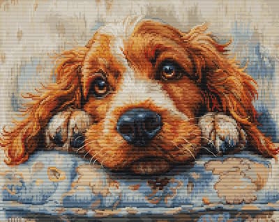 Borduurpakket Luca-S - Cocker Spaniel - BU5058