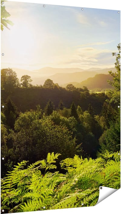 Gards Tuinposter Zonsondergang vanuit een Bos - 120x180 cm - Tuindoek - Tuindecoratie - Wanddecoratie buiten - Tuinschilderij