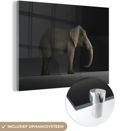 MuchoWow® Glasschilderij 160x120 cm - Schilderij acrylglas - Olifant - Dieren - Licht - Foto op glas - Schilderijen