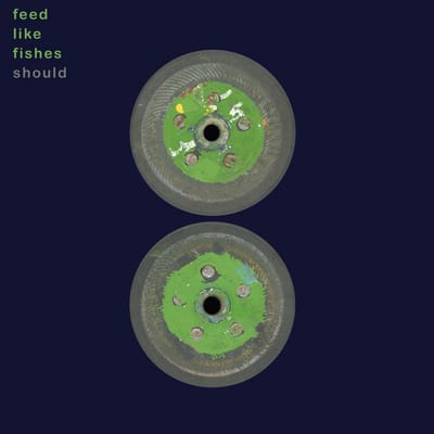 Should - Feed Like Fishes (2 CD)