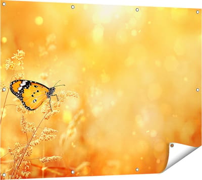 Gards Tuinposter Oranje Vlinder in het Oranje Veld - 120x90 cm - Tuindoek - Tuindecoratie - Wanddecoratie buiten - Tuinschilderij