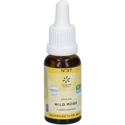Bach Bloesem Bio N°37 Wild Rose 20 Druppels