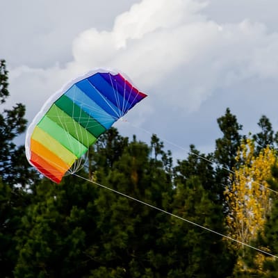 Grote Sport Stuntvlieger Regenboog 62 inch - Dubbele Lijn Parafoil Inclusief Lijn en Tas