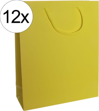 12st. stevige draagtassen papier (26x32x10)cm zak cadeautasje gift bag verpakking gedraaid koord greep