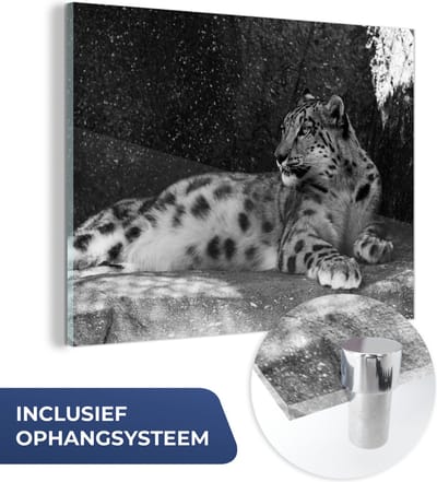 MuchoWow® Glasschilderij 40x30 cm - Schilderij acrylglas - Panter - Zwart - Wit - Foto op glas - Schilderijen
