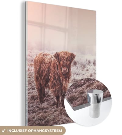MuchoWow® Glasschilderij 120x160 cm - Schilderij acrylglas - Schotse Hooglander - Winter - Sneeuw - Koe - Weiland - Bruin - Foto op glas - Schilderijen