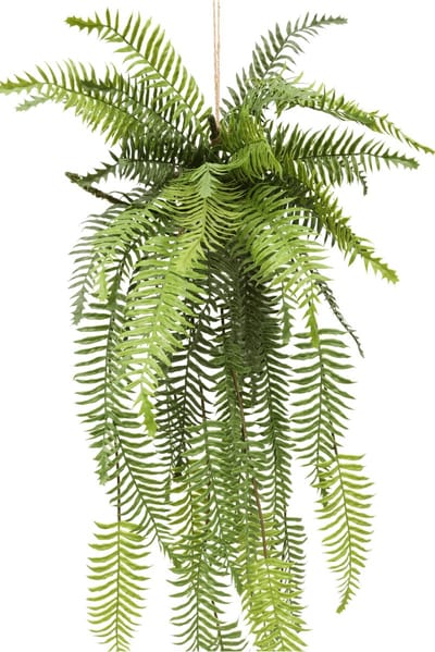 Varen Kunst Hangplant | Hangende kunstplant | Kunstplant voor binnen | Varen Hangende Kunstplant | Kunstplant voor Binnen | Neppe Hangplant110cm