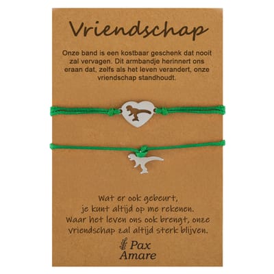 Vriendschapsarmbandjes voor 2 "Vriendschap" - Dinosaurus - BFF Armbandjes met Cadeau Kaartje - Zilverkleurig & Groen - Elastisch Verstelbaar - Pax Amare