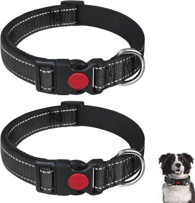 Verstelbare hondenhalsband voor kleine honden - Reflecterend en comfortabel, 28-38 cm