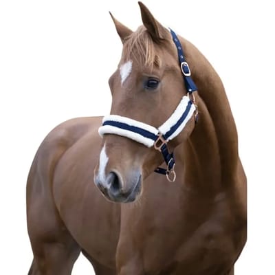Norton Equestrian Confort Halster Blauw Cob