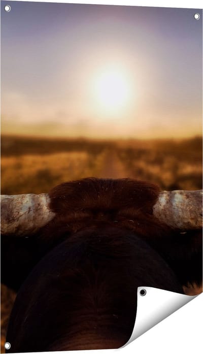 Gards Tuinposter Stierenhoorns bij Zonsondergang - 60x90 cm - Tuindoek - Tuindecoratie - Wanddecoratie buiten - Tuinschilderij