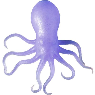Squishies Nee Doh Octopus Knijpspeeltje Fidget Speelgoed, Water Sensorisch Zacht Gelei Knijpen Stressverlichting Fidget Speelgoed