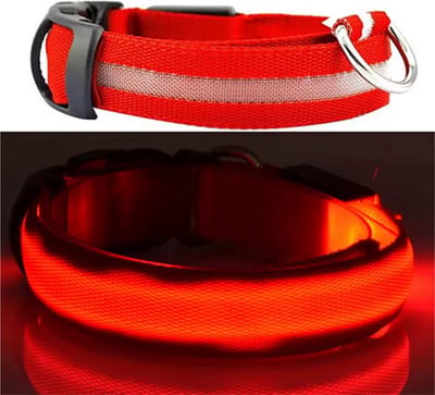 *** Lichtgevende halsband - LED-Halsband - Honden halsband - Halsband - Rood - XS - 45-52 cm Dierenband - Collar - Lichtgevende hond tijdens het uitlaten - van Heble® ***