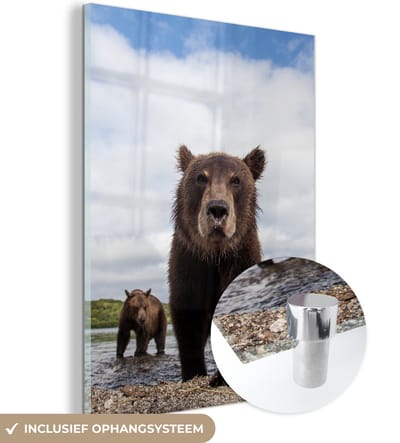 MuchoWow® Glasschilderij 90x120 cm - Schilderij acrylglas - Beer - Kust - Water - Foto op glas - Schilderijen