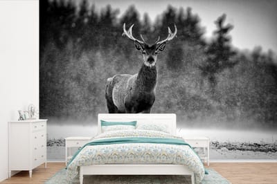 Behang - Fotobehang Dieren - Hert - Winter - Zwart - Wit - Breedte 360 cm x hoogte 240 cm