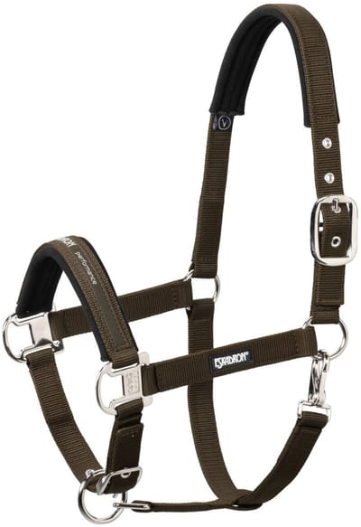Eskadron Halster Eskadron Pin Buckle Zwart