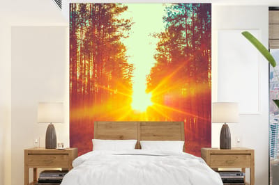 Behang - Fotobehang Zonsondergang - Bomen - Bos - Natuur - Breedte 190 cm x hoogte 260 cm