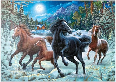 Legpuzzel 1000 Stukjes - Wintertafereel Puzzel - Ontspannend Tijdverdrijf - Gedetailleerd Ontwerp - 68 x 48 cm - Niet gespecificeerd