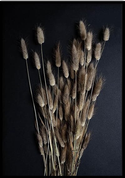 Poster Bosje Droogbloemen - 30x40 cm Met Fotolijst - Poster Droogbloemen - Ingelijst - WALLLL