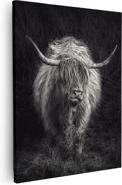 Artaza Canvas Schilderij Schotse Hooglander - 80x100 cm - Groot - Wanddecoratie Woonkamer - Muurdecoratie Dieren - Zwart Wit