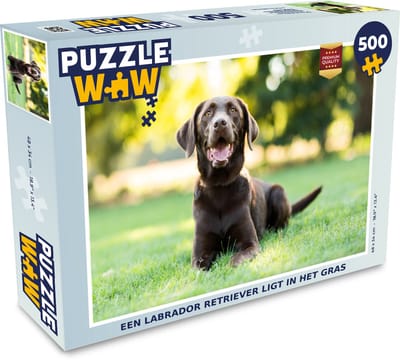 Puzzel Een Labrador Retriever ligt in het gras - Legpuzzel - Puzzel 500 stukjes