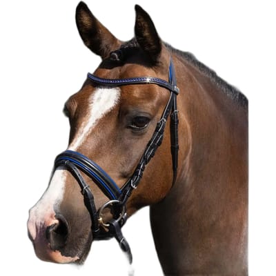 Riem voor paardrijden Premier Equine Mineo