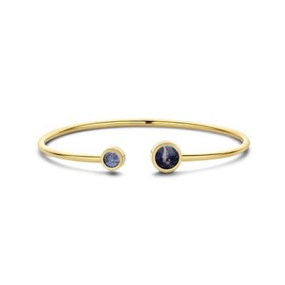 CO88 Collection 8CB-90892 Stalen Armband - Dames - Bangle - Sodaliet - 4 en 6 mm Doorsnee - Armband - 58 x 49 mm - 2 mm Dikte - Staal - Goudkleurig