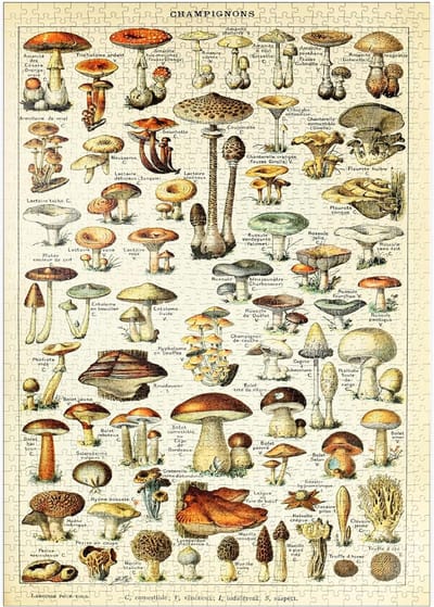 Puzzel van Champignons - 1000 Stukjes Vintage Kunst Poster