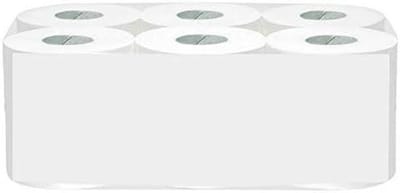 Toiletpapier Mini Jumbo - Grote rollen - Huishoudelijk gebruik - 2-laags cellulose - 145 meter - Wit