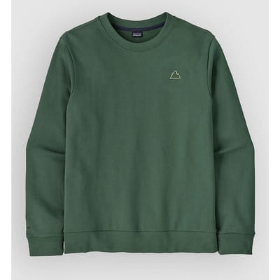 Patagonia Fitz Roy Massif Daily Crew Sweater groen