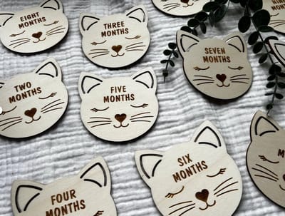 Kat Houten Baby Mijlpaalschijfjes – Maandelijkse Fotoprops | Baby Mijlpaalkaarten | Newborn Foto Accessoire | Kraamcadeau | Babyshower Cadeau
