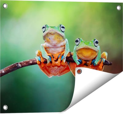 Gards Tuinposter Twee Boomkikkers op een Tak - 50x40 cm - Tuindoek - Tuindecoratie - Wanddecoratie buiten - Tuinschilderij