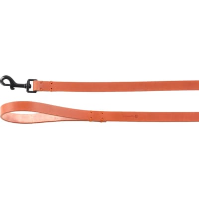 Flamingo Leano Gewoon - Looplijn Honden - Looplijn Leano Cognac 130cm 20mm - 1st - 132611 - 1st