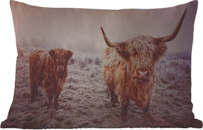 Sierkussen Schotse hooglander voor buiten - Portret van twee Schotse hooglanders - 50x30 cm - rechthoekig weerbestendig tuinkussen / tuinmeubelkussen van polyester
