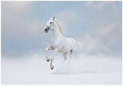 WALLARENA - Fotobehang - 150x105 cm - witte paard met wolken, dieren voor slaapkamer en woonkamer