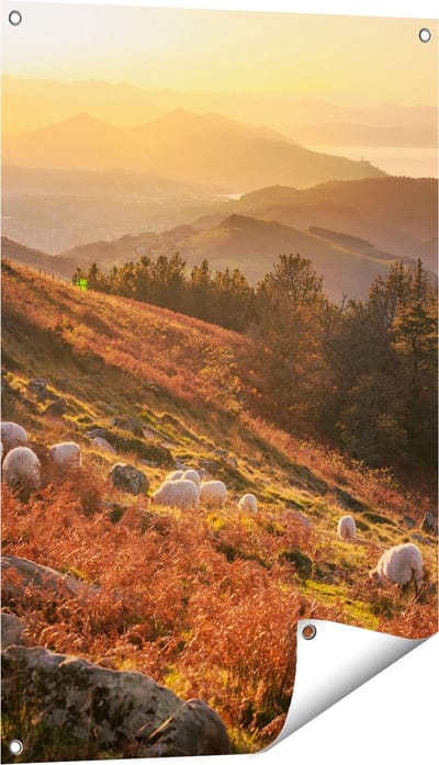 Gards Tuinposter Schapen in de Bergen - 60x90 cm - Tuindoek - Tuindecoratie - Wanddecoratie buiten - Tuinschilderij