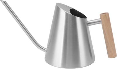 RVS Gieter - Waterkruik Tuin - Planten Water Geven - Lange Dunnen Tuit - 29 x 14.7 cm - Zilverkleurig