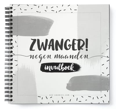 Zwangerschapsdagboek - Negen Maanden Dagboek - 9 Maanden Invulboek - Cadeau Zwanger - Dagboek voor Mama - Echo Boekje - Echoboek