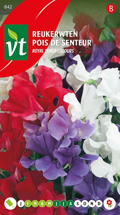 Reukerwten 'Royal Mixed Colours' Zaden - Kleurrijke Geurende Bloemenmix